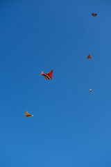 Colorful Kites Flying in Bright Blue Sky