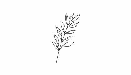 Fototapeta premium Elegant hand-drawn botanical line art of a single leafy plant sprig.