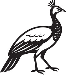 Stylized peacock bird illustration design, Black and white vector feathered animal