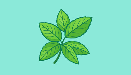 Vibrant green cartoon sprig of mint leaves with serrated edges and detailed veins.