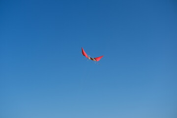 Colorful Kites Flying in Bright Blue Sky