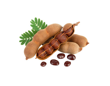 Ripe tamarind fruit pods one cracked open revealing sticky pulp and seeds with green leaves.