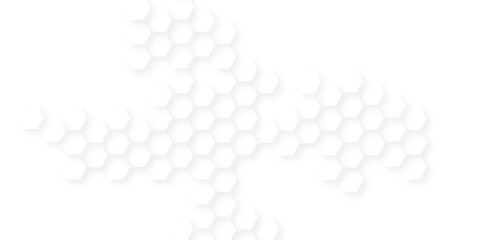abstract vector banner design with hexagon pattern on white background, white geometric wallpaper with copy space, luxury White Pattern. 3d futuristic abstract honeycomb mosaic white background. 