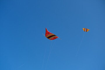 Colorful Kites Flying in Bright Blue Sky