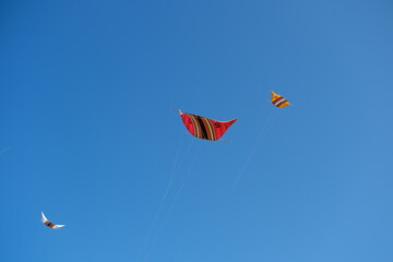 Colorful Kites Flying in Bright Blue Sky