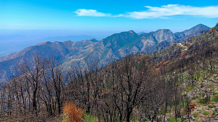 View of San Gabriel Mountains from Mt. Wilson.jpg 