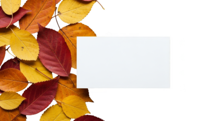 Autumn leaves display a blank invitation