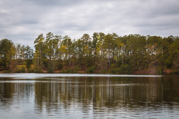 Fototapeta premium Tranquil Lake with Pine Trees and Reflections in South Carolina