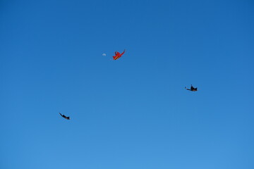 Colorful Kites Flying in Bright Blue Sky