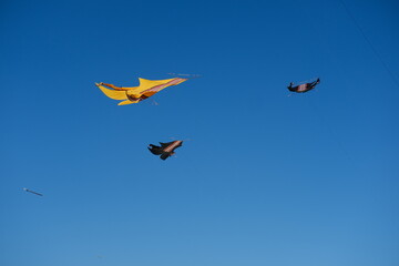 Colorful Kites Flying in Bright Blue Sky