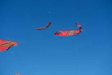 Colorful Kites Flying in Bright Blue Sky