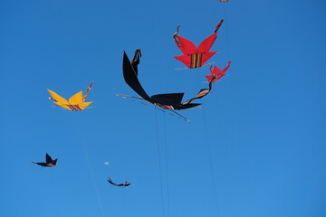 Colorful Kites Flying in Bright Blue Sky