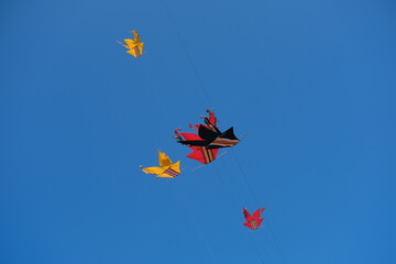 Colorful Kites Flying in Bright Blue Sky