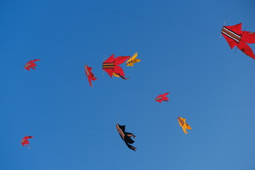 Colorful Kites Flying in Bright Blue Sky