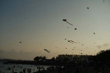 Multiple kites flying over the ocean coast at sunset