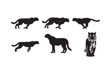 Collection of powerful big cat vector silhouettes, featuring dynamic running cheetahs and a striking front-view tiger illustration.