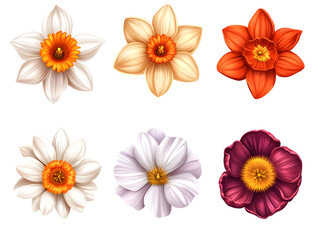 A vibrant collection of six distinct flower illustrations showcasing various colors and shapes with transparent background PNG