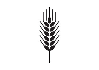 Obraz premium Agriculture wheat ear vector illustration design