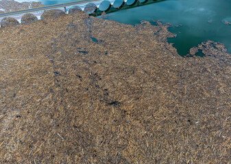 Lots of waste floating on the surface of the water. Various garbage on the surface of Lake Izvorul Muntelui - Romania brought by the flood