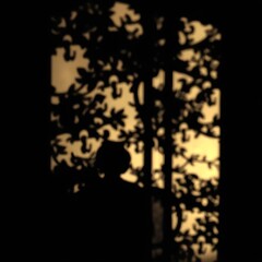 Shadows pulsing with the rhythm of desire.