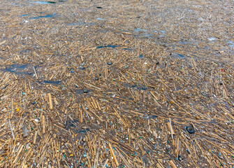 A layer of waste on the lake brought by the flood