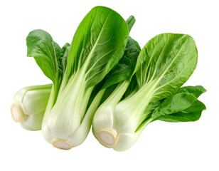 Fresh Bok Choy Isolated on White Background