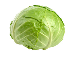 Fresh Green Cabbage on White Background