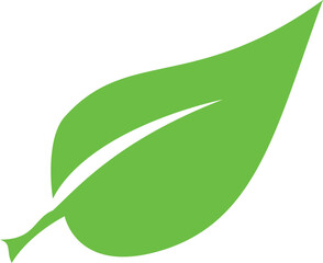 Vector illustration of green leaf. Representating green life, eco system, and environmental campaign.