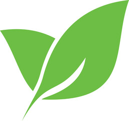 Vector illustration of green leaf. Representating green life, eco system, and environmental campaign.