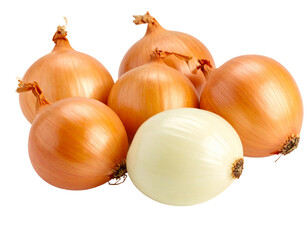 Fototapeta premium Peeled Shallots Isolated on White Background