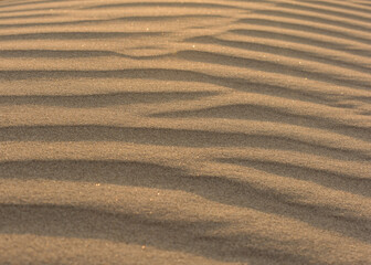 desert sand lines and shadow