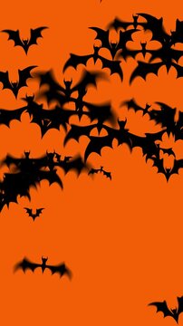 Cartoon of a flock of flying bats with motion graphics in vertical format for social media, halloween transition