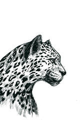 leopard head silhouette