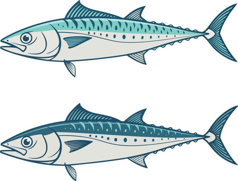 Minimal king mackerel fish icon set