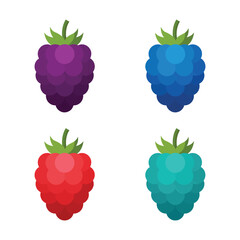 Four Colorful Raspberry Icons Purple Blue Red and Teal Isolated on White