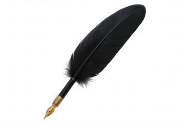 Elegant Black Quill Pen with Ornate Gold Nib and Holder, Symbolizing Classic Writing and Literature