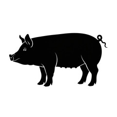 Fototapeta premium vector illustration of a pig