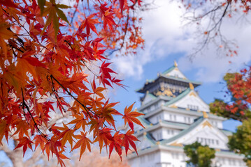 Naklejka premium The castle is one of Japan's most famous landmarks and it played a major role in the unification of Japan during the sixteenth century, Osaka Castle Japan