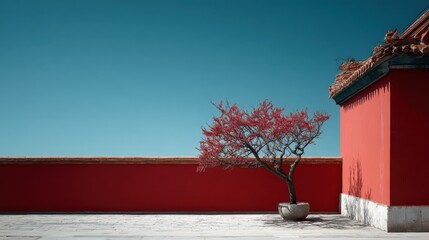 tree grows near red wall in china