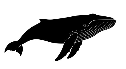 Fototapeta premium side profile of a humpback whale silhouette, isolated on transparent background: elegant vector illustration for ocean conservation and marine life designs