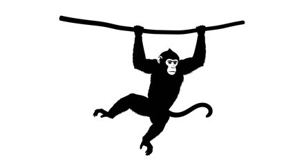 silhouette of a monkey hanging from a branch, isolated on a transparent background: a striking vector illustration for design projects