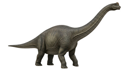 Obraz premium A large brachiosaurus dinosaur with a long neck isolated on transparent background