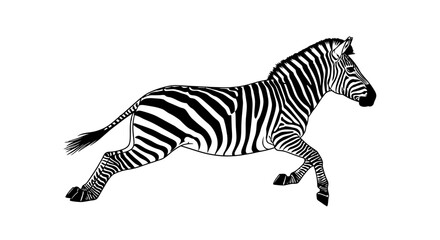 Naklejka premium side profile of a leaping zebra, isolated on transparent background: elegant black and white line art illustration