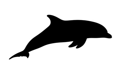 side profile silhouette of a leaping dolphin, isolated on a transparent background: perfect for marine life designs and ocean themed projects