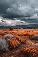 Stormy landscape with orange shrubs and a lone tree