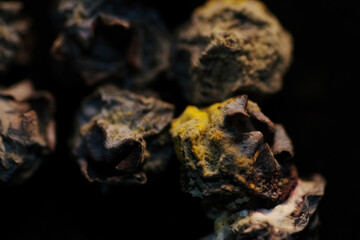 Macro shot of green mould on dried blueberries