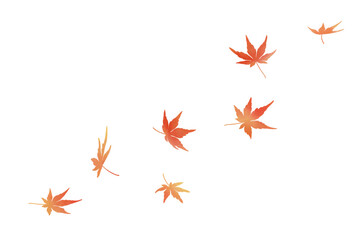 Gracefully falling maple leaves in watercolor