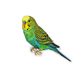 Fototapeta premium Vibrant budgerigar illustration perched on a branch showcasing bright yellow and green plumage with detailed feather patterns and a cheerful expression