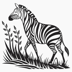 zebra vector illustration