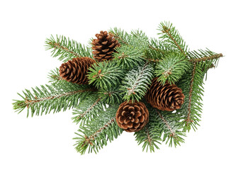 Fresh green pine branches with rich brown cones and sparkling white glitter, meticulously arranged on a transparent background with copy space, bright studio lighting, no shadows, elegant festive